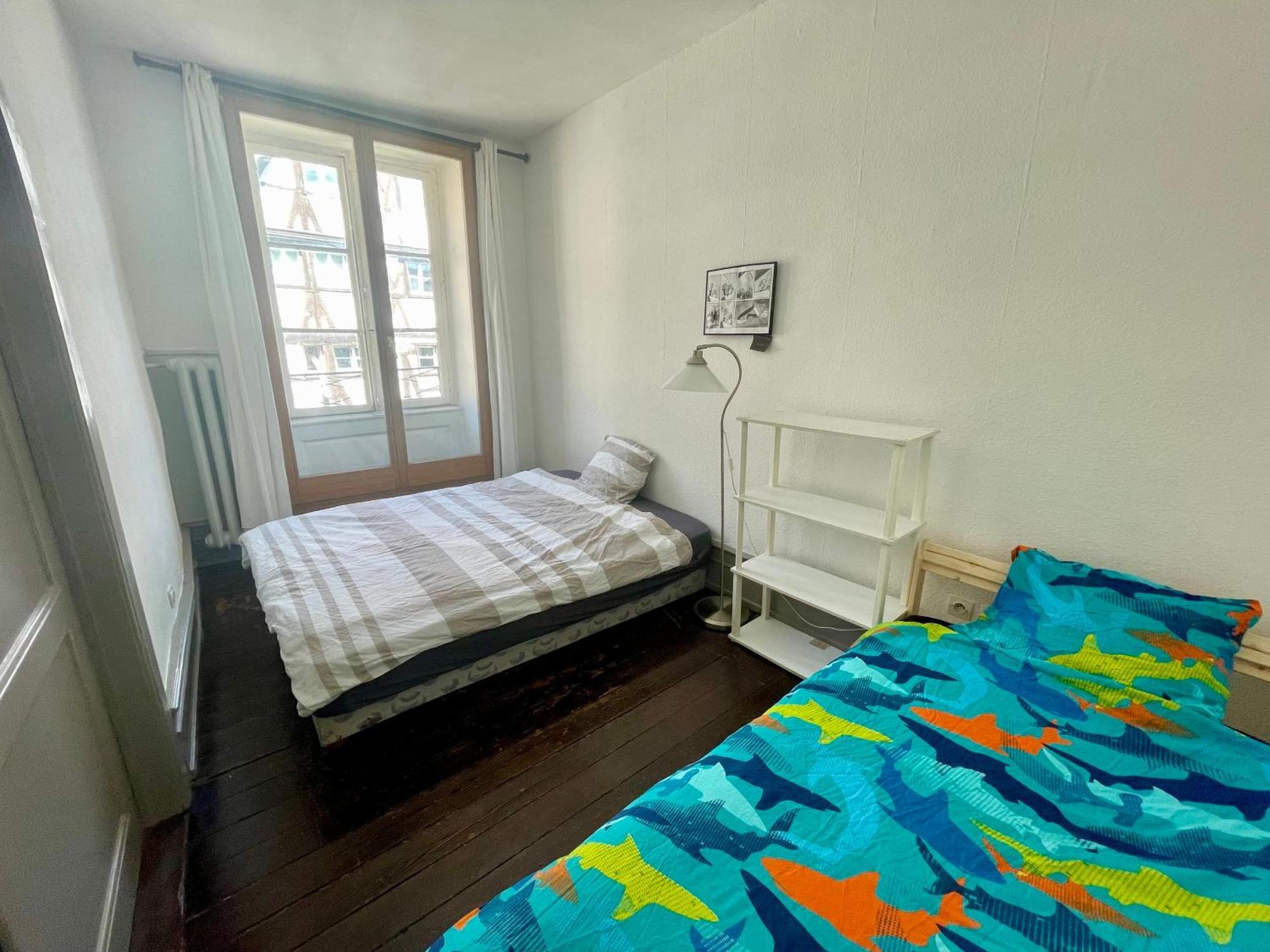 Cathedrale Spacieux Appartement ストラスブール エクステリア 写真